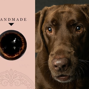 Occhi di sicurezza realistici per cani marrone scuro, occhi in vetro cabochon, occhi marroni neri per giocattoli, occhi di peluche per cani in feltro, occhi marroni per cuccioli, occhi per bambole amigurumi