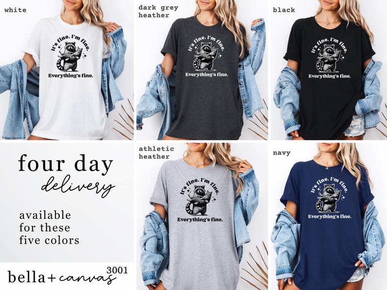 Puede incluir: Una selecci&oacute;n de cinco camisetas en blanco, gris oscuro, negro, gris deportivo y azul marino. Cada camiseta presenta un gr&aacute;fico de mapache con el texto "It's fine. I'm fine. Everything's fine." Las camisetas son Bella+Canvas 3001.