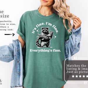 Puede incluir: Camiseta verde claro con un mapache sosteniendo un gato y el texto "It's fine. I'm fine. Everything's fine." La camiseta tiene un corte holgado y mangas enrolladas.