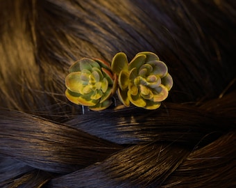 Mini Succulent Hair Comb