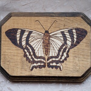 May include: A wooden plaque featuring a detailed pyrography butterfly design. The butterfly has white and dark brown striped wings, set against a light brown background. The plaque has a dark brown border and a unique octagonal shape.
