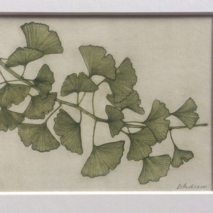 Ginkgo Fine Art Print