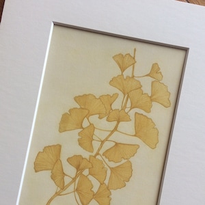 Yellow Ginkgo Print