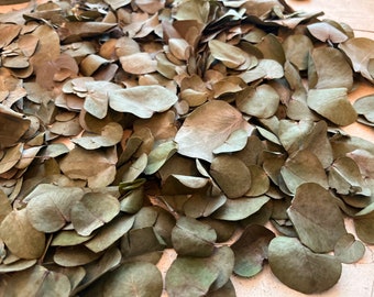 Wedding confetti eucalyptus leaf smelly greenly natural Biodegradable 1000ml mixed sized leaves  dried confetti