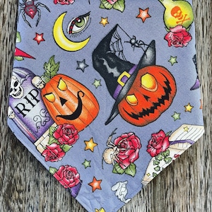 Spells and Potions Bandana