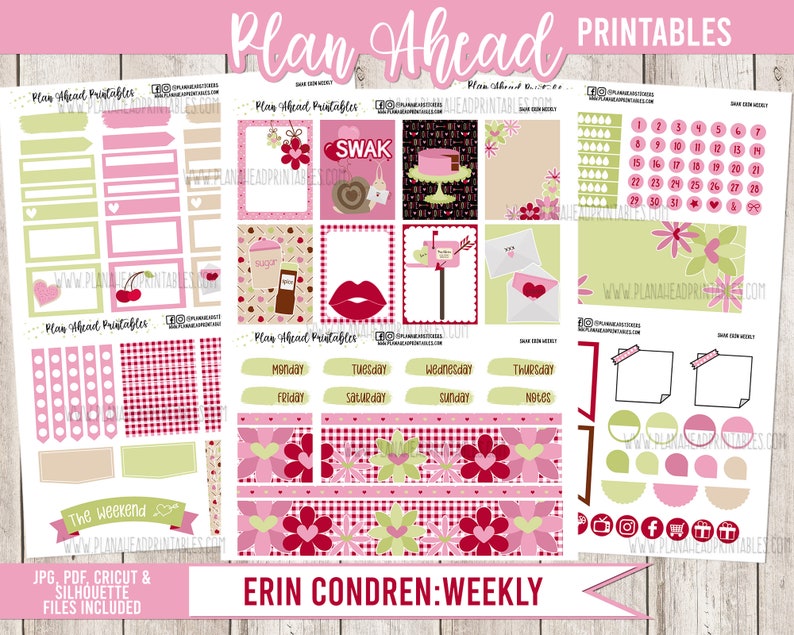 STORE CLOSING Erin Condren Life Planner Printable Sticker Weekly Kit
