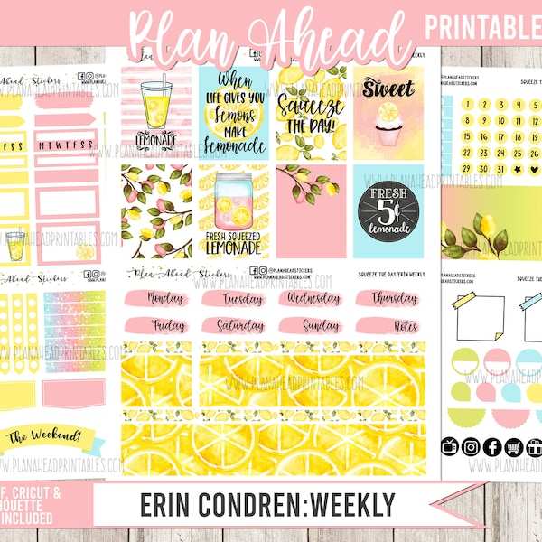 Erin Condren Life Planner Printable Sticker Weekly Kit, Lemons Lemonade, Summer June July August