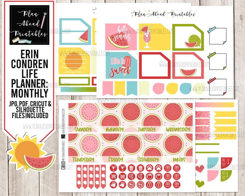STORE CLOSING Erin Condren Life Planner Printable Sticker Monthly Kit