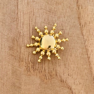 Golden stainless steel brooch Sun, Parrot, Insect, bee Soleil