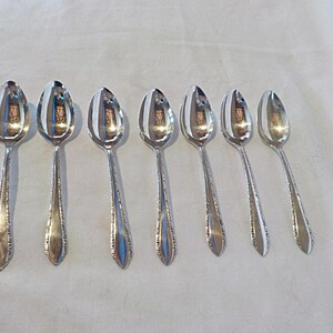 May include: Seven silver spoons arranged in a row. Each spoon has a rounded bowl and a long, ornate handle. The spoons reflect the surrounding environment, creating a shiny appearance. The spoons are likely for serving or eating.