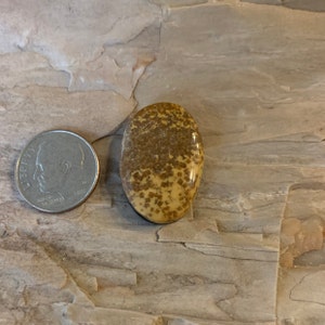 May include: A close-up of a light brown oval-shaped stone with a speckled pattern. The stone is about the size of a US dime.