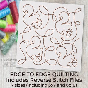 Eichhörnchen Nuss E2E Quilt-Block, Maschinenstickerei, Quilting Design, fortlaufende Linie, einfacher Durchlauf, Quilt-Muster, ITH Rückstich