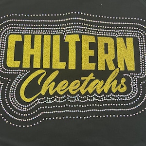 Chiltern Cheetah Team Jacket for AG doll