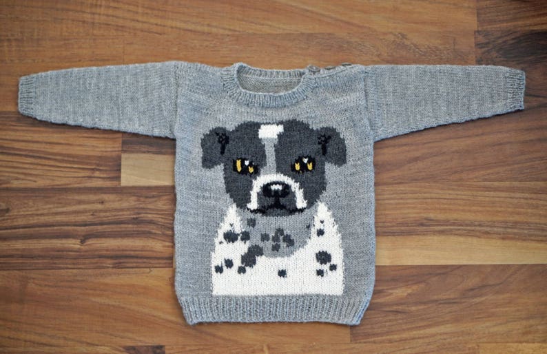 Custom Knitting Pattern Chart Pets Sweater Cat Dog Intarsia Etsy