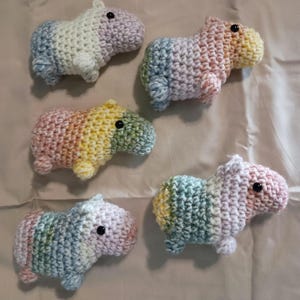 May include: Five handmade crochet capybaras in various pastel colors. Each capybara has a small black eye and is made with a soft, textured yarn. The color gradients include blue, pink, yellow, and green.