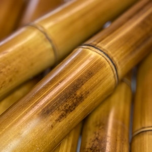 Long Round Fresh Green Bamboo Stick, For Construction, Thickness