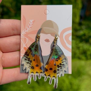 preserved sunset moth earrings