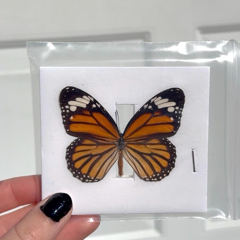 Folded Butterfly Jewelry - Etsy