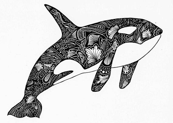 Download Orca Print Zentangle Orca Drawing Art Prints Black and | Etsy