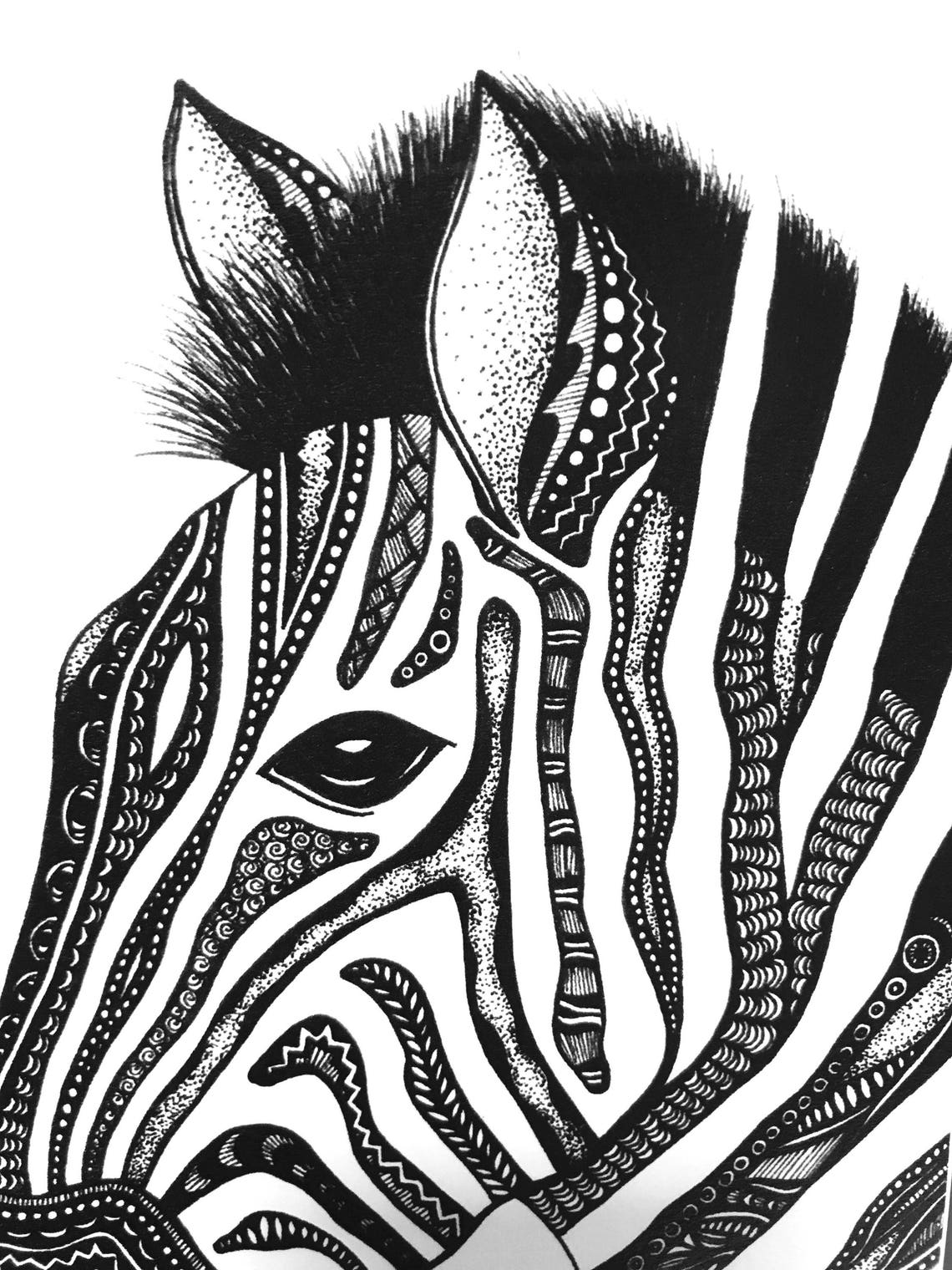 Zebra Print Zentangle Zebra Drawing Art Prints Black and - Etsy UK