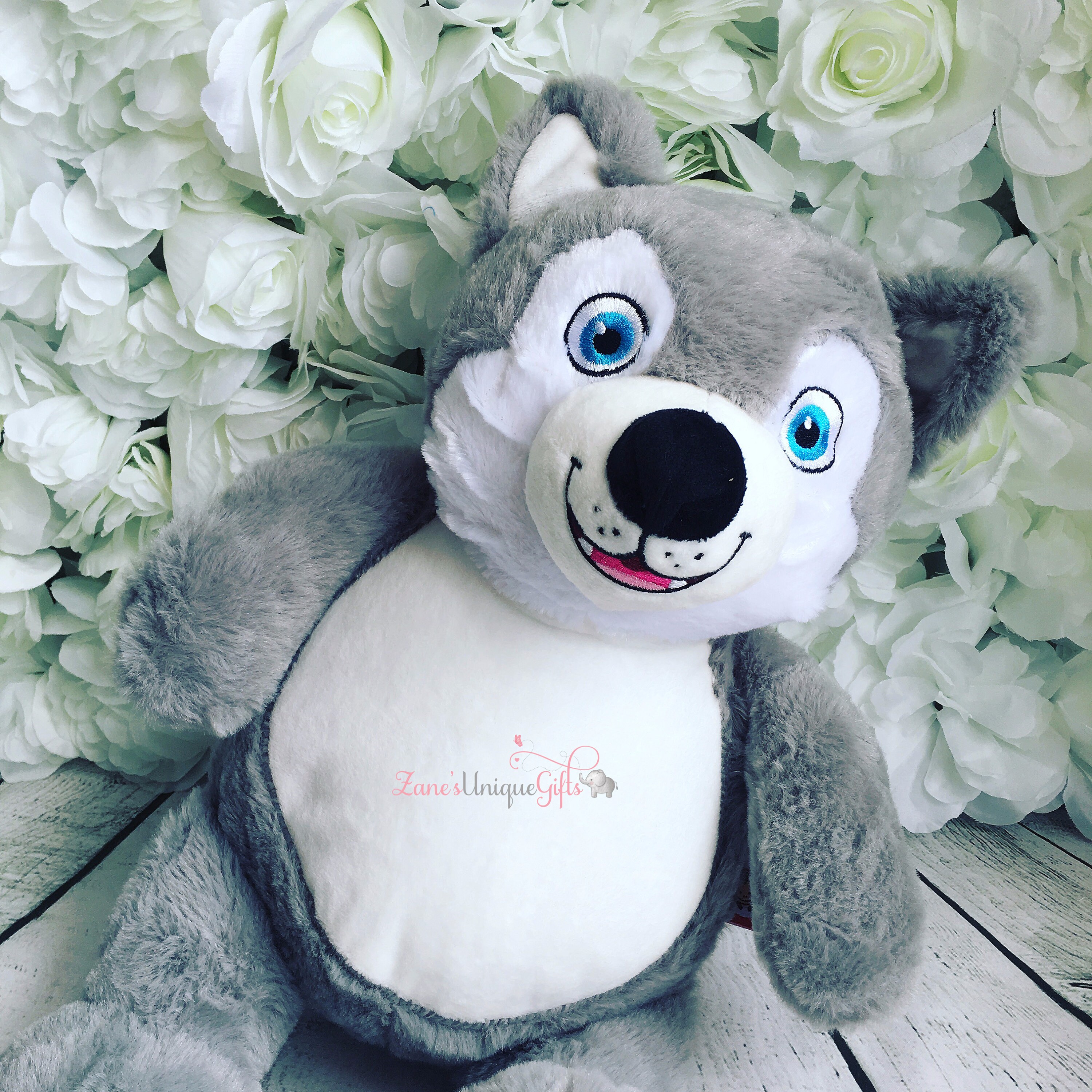 teddy husky