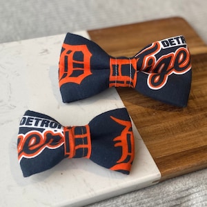Pajaritas Tigres de Detroit