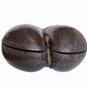 Op de afbeelding: Donkerbruine, dubbelgelobde houten doos met een gesneden geometrisch ontwerp rond de rand van elke lob. De doos lijkt met de hand gesneden te zijn en heeft een natuurlijke, rustieke uitstraling. De twee helften zijn in het midden verbonden.