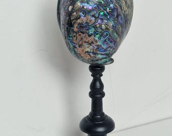 Antieke abaloneschelp op houten standaard, bibliotheekdecor