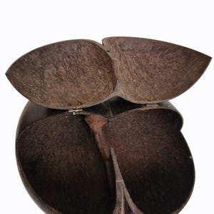 Op de afbeelding: Een donkerbruine, handgemaakte kokosnootschaal doos met een scharnierend deksel. De doos is open en onthult twee compartimenten en een gestructureerd interieur. Het deksel heeft de vorm van twee afgeronde bladeren.