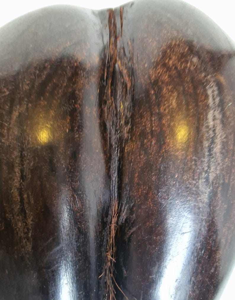 Op de afbeelding: Close-up van een donkerbruin, gepolijst houten object met een verticale, getextureerde naad. De houtnerf is zichtbaar en het oppervlak reflecteert licht, waardoor highlights ontstaan. Het object heeft een gladde, gebogen vorm.