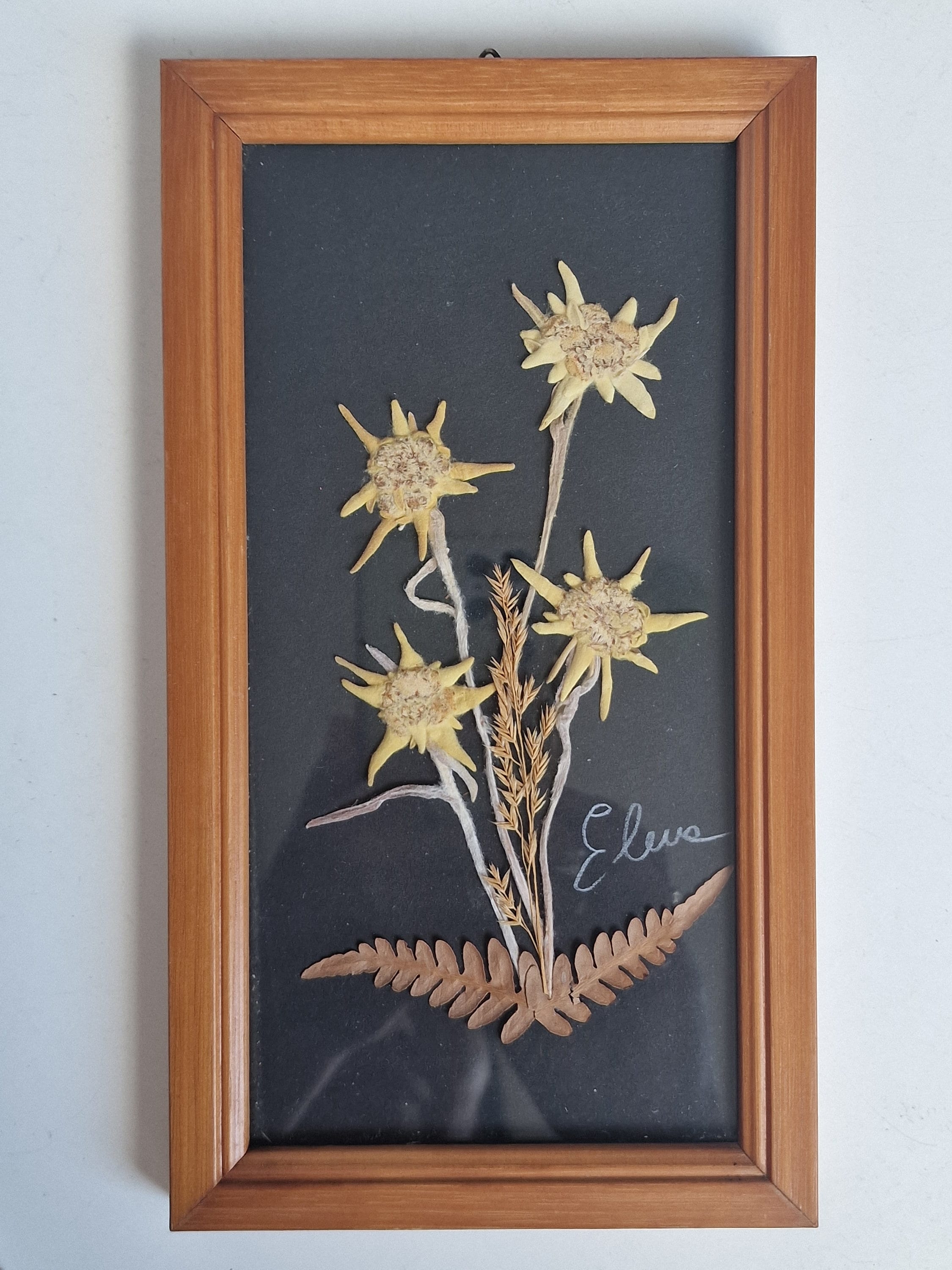 Reuge Edelweiss - Etsy Reuge Edelweiss - Etsy