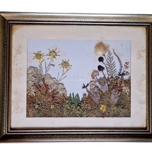 Antyczna diorama szarotki 3D, obraz z Alp Austriackich (1900-1940)