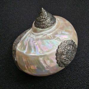 May include: A white seashell with iridescent colors and silver accents. The shell has a pointed top and is decorated with intricate floral designs.