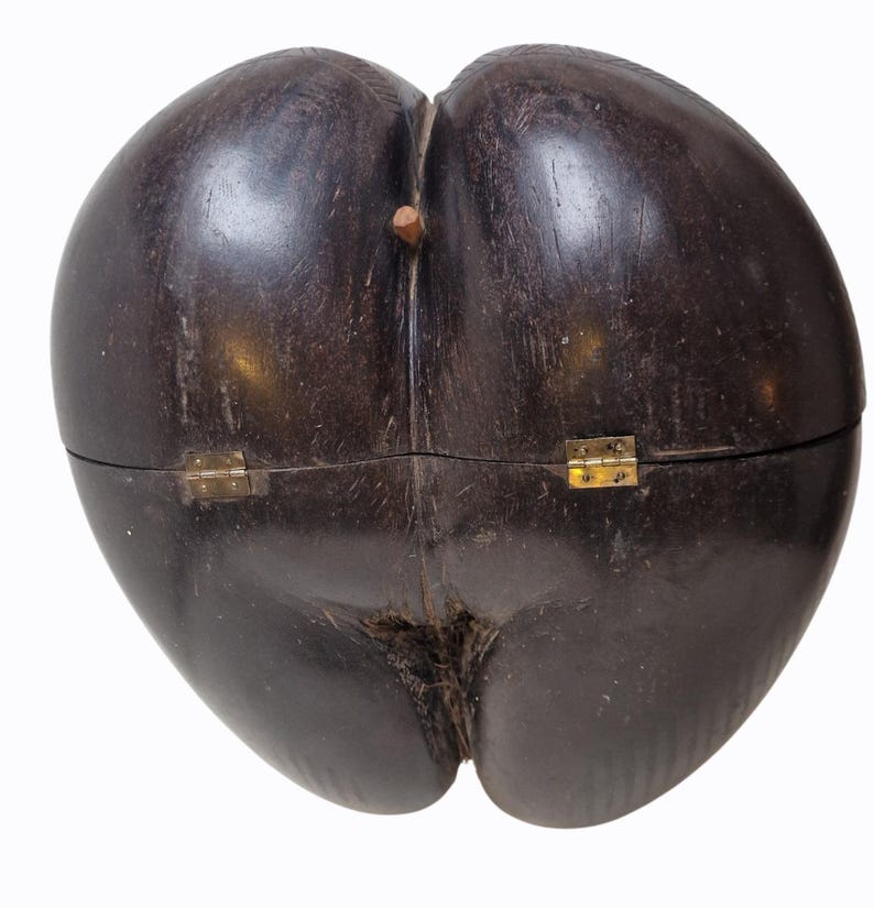 Op de afbeelding: Een donkerbruine houten doos met een unieke, organische vorm. De doos is scharnierend met messing hardware en heeft een kleine houten pen. Het oppervlak heeft een natuurlijk houtnerfpatroon.