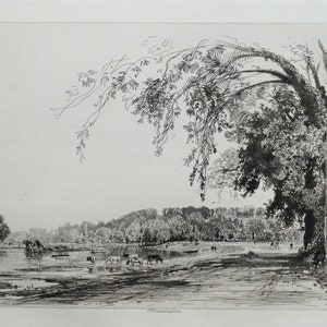 May include: Black and white etching of a landscape with a large tree in the foreground and a river in the background. The tree has many branches and leaves, and the river is calm and still. There are some cattle in the river, and a few people walking along the riverbank.
