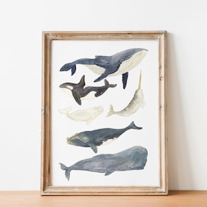 Whales Illustration print, Whale Watercolour Art, Nature Illustration Poster, Cute Ocean Nursery Decor, Nature, Kids Wall Art, image 1