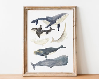 Impression d'illustration de baleines, art d'aquarelle de baleine, affiche d'illustration de nature, décor mignon de pépinière d'océan, nature, art de mur d'enfants,