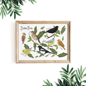 British Birds Print, Bird Poster, Bird Print, British Wildlife , Nature Art Print, Natural History Poster, Bird Illustration, Nursery Decor