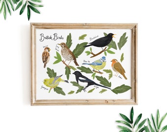 British Birds Print, Bird Poster, Bird Print, British Wildlife , Nature Art Print, Natural History Poster, Bird Illustration, Nursery Decor