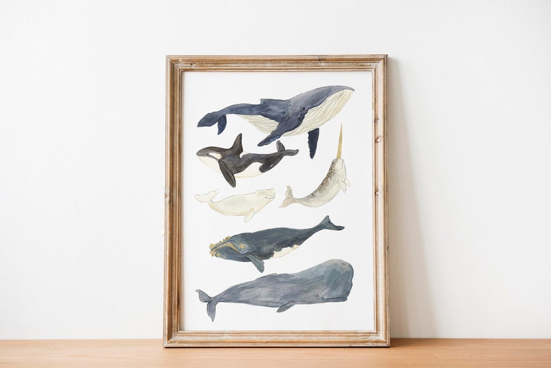 Whales Illustration print, Whale Watercolour Art, Nature Illustration Poster, Cute Ocean Nursery Decor, Nature, Kids Wall Art, image 1