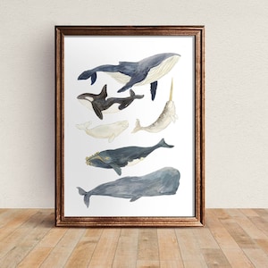 Whales Illustration print, Whale Watercolour Art, Nature Illustration Poster, Cute Ocean Nursery Decor, Nature, Kids Wall Art, image 2