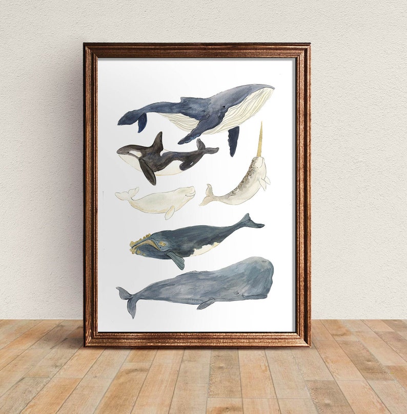 Whales Illustration print, Whale Watercolour Art, Nature Illustration Poster, Cute Ocean Nursery Decor, Nature, Kids Wall Art, image 2