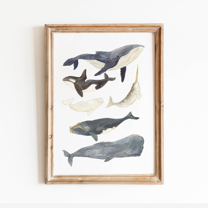 Whales Illustration print, Whale Watercolour Art, Nature Illustration Poster, Cute Ocean Nursery Decor, Nature, Kids Wall Art, image 3