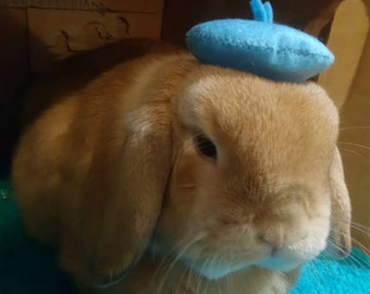 Beret for pet bunny rabbit, rabbit clothing, pet hat, rabbit costume, pet cosplay, bun hat