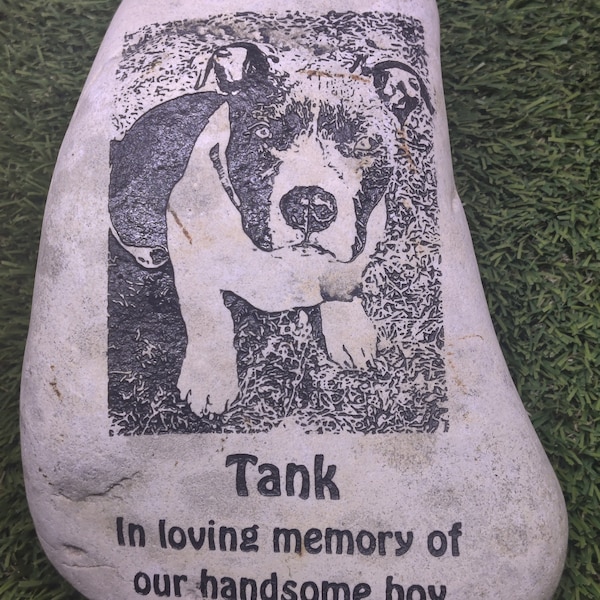 Foto Bild Gedenkstätten Erinnerung Haustier Hund Katze Name Stein Gedenkstein Rock Geschenk Farben sehr geätzt mit Sandstrahlen Personalisierte Geschenk Erinnerung