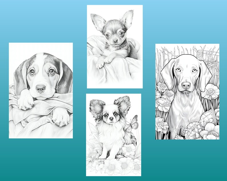 May include: A set of four black and white illustrations of dogs. The illustrations are in a realistic style and feature a Beagle, a Chihuahua, a Papillon, and a Weimaraner.