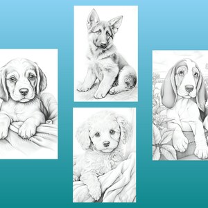 May include: Four black and white illustrations of different dog breeds. The dogs are all puppies and are looking at the camera. The illustrations are in a realistic style.