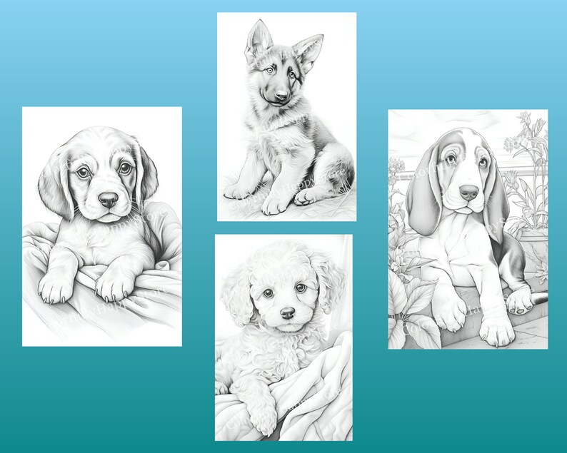 May include: Four black and white illustrations of different dog breeds. The dogs are all puppies and are looking at the camera. The illustrations are in a realistic style.