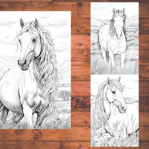 May include: Three black and white line drawings of horses. The first horse is standing in a field with its head turned to the side. The second horse is standing in a field with its head turned to the side. The third horse is lying down in a field with its head turned to the side.