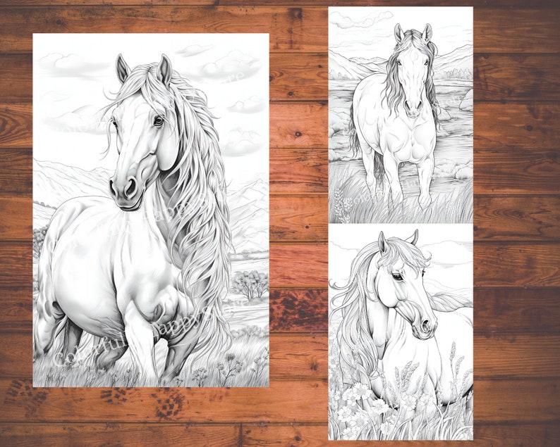 May include: Three black and white line drawings of horses. The first horse is standing in a field with its head turned to the side. The second horse is standing in a field with its head turned to the side. The third horse is lying down in a field with its head turned to the side.